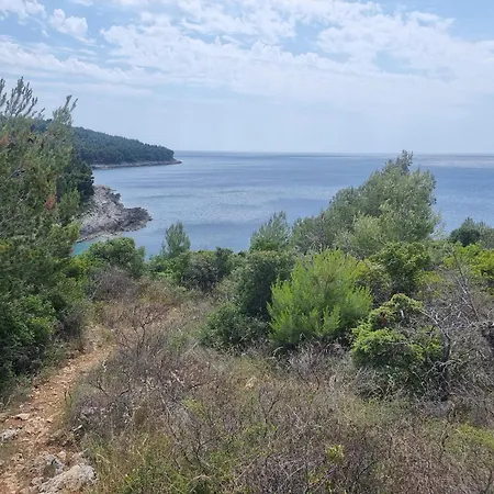 Studio Apartman Premantura *