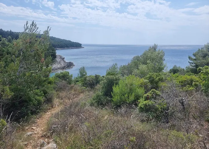 Studio Apartman Premantura *