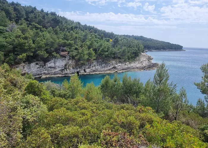 Appartement Studio Apartman Premantura *